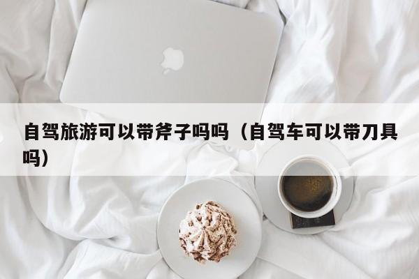 自驾旅游可以带斧子吗吗（自驾车可以带刀具吗）