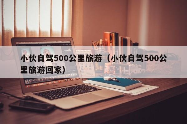 小伙自驾500公里旅游（小伙自驾500公里旅游回家）