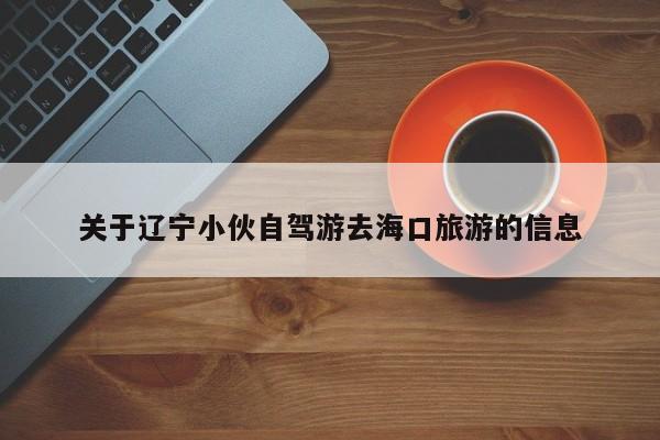 关于辽宁小伙自驾游去海口旅游的信息