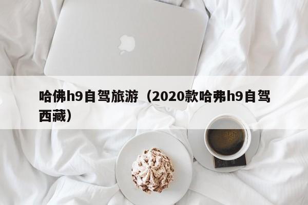 哈佛h9自驾旅游（2020款哈弗h9自驾西藏）