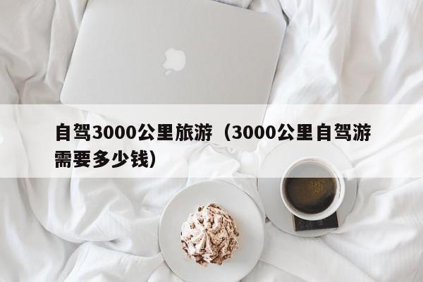 自驾3000公里旅游（3000公里自驾游需要多少钱）